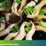 medidas-para-proteger-la-biodiversidad